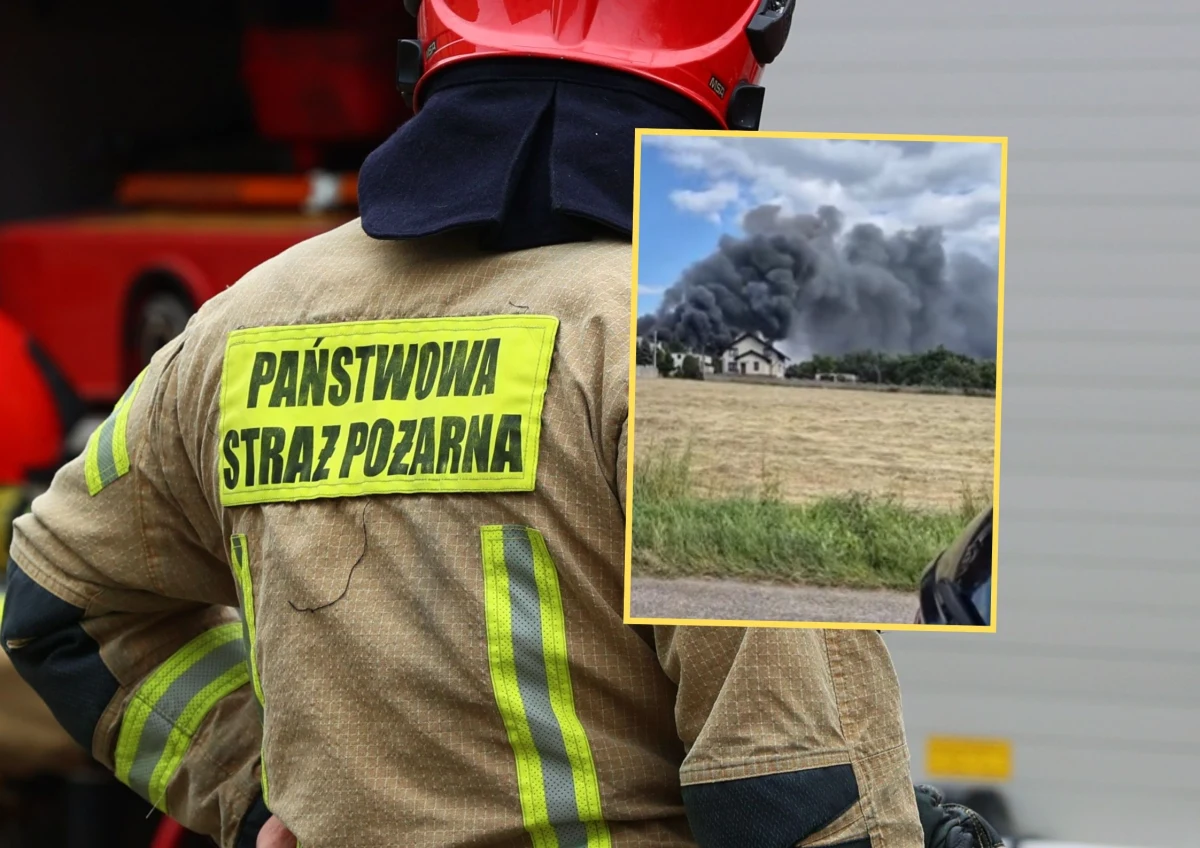 Do groźnego pożaru doszło dziś w Czerwionce-Leszczynach w powiecie rybnickim na Śląsku. Ogień objął halę magazynową przy ul. Przyjaźni w Czuchowie, w której przechowywano duże ilości materiałów gumowych i tekstylnych. Jak informuje reporterka RMF FM Anna Kropaczek, sytuacja jest już opanowana. Na szczęście nikt nie ucierpiał.