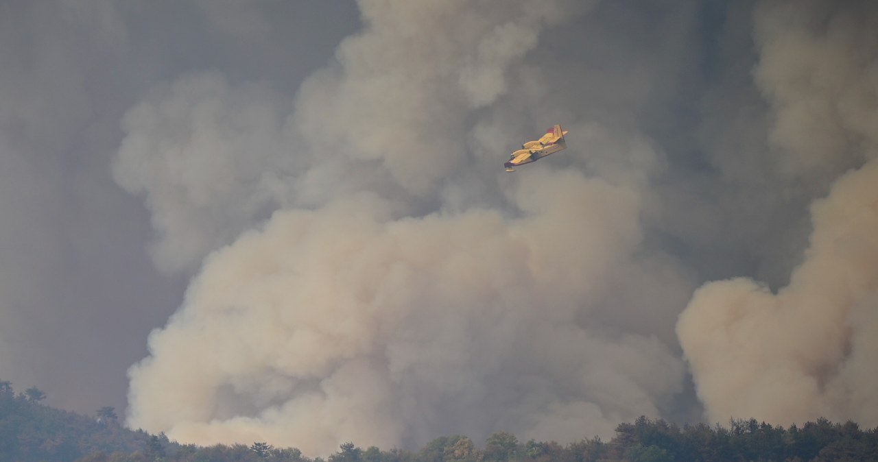Ogień trawi Dalmację. Policja jest pewna co do przyczyny pożaru