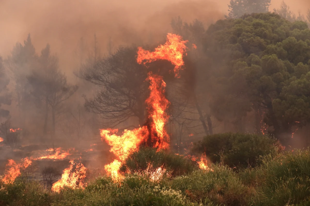 "Pożar, który wybuchł w sobotę w okolicy Omisza na południu Chorwacji, został wzniecony przez człowieka. To efekt podpalenia" - powiedział komendant chorwackiej straży pożarnej Ivan Kovaczević, cytowany przez telewizję N1. Strażacy nadal pracują nad opanowaniem ognia, a policja poszukuje sprawcy. Poniżej znajdziecie filmy i zdjęcia z akcji służb, które przysłał nam słuchacz RMF FM.