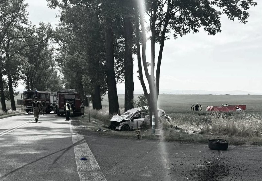 /Policja Kędzierzyn-Koźle /Policja