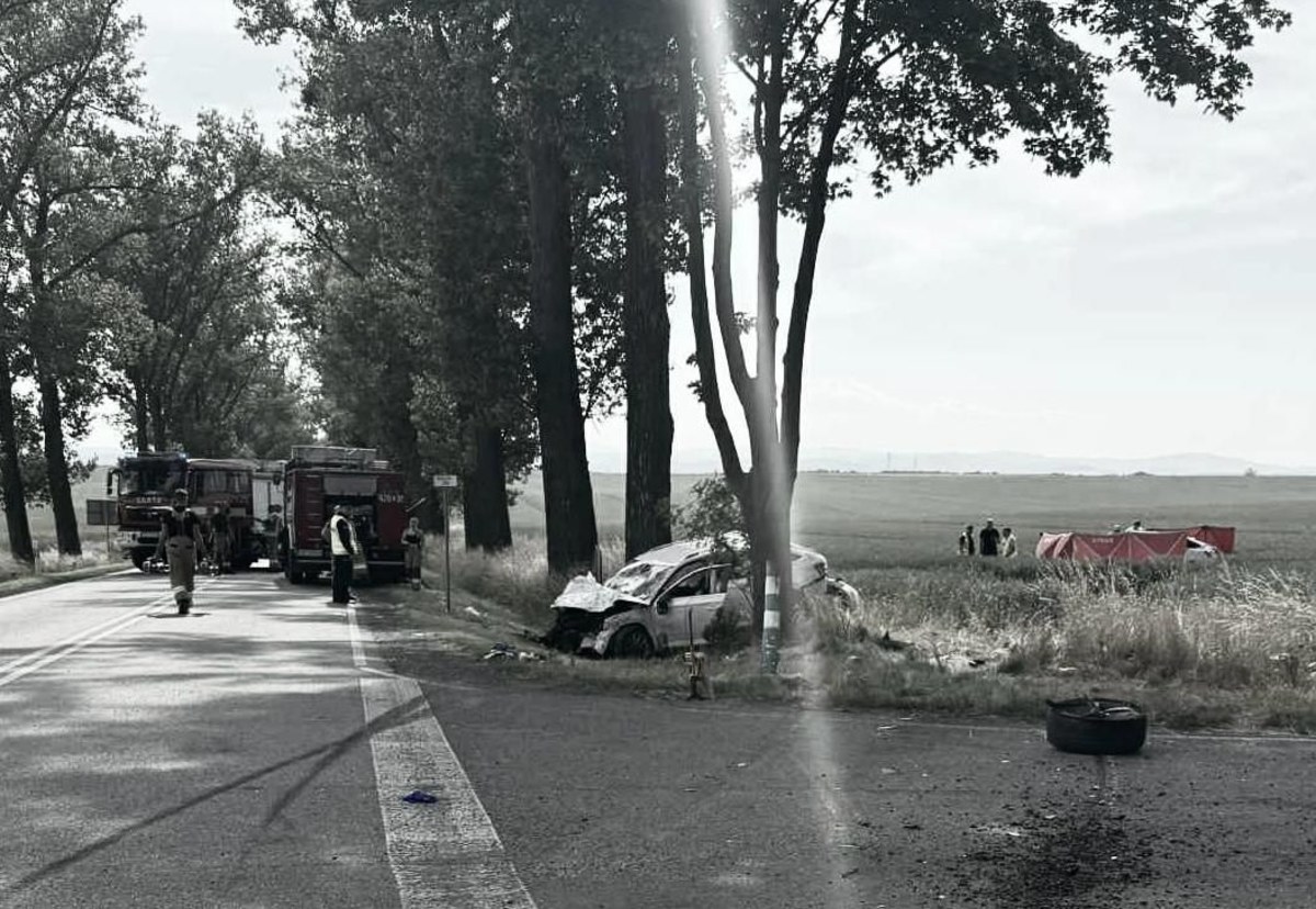 Zabici i ranni. Tragiczny wypadek na Opolszczyźnie