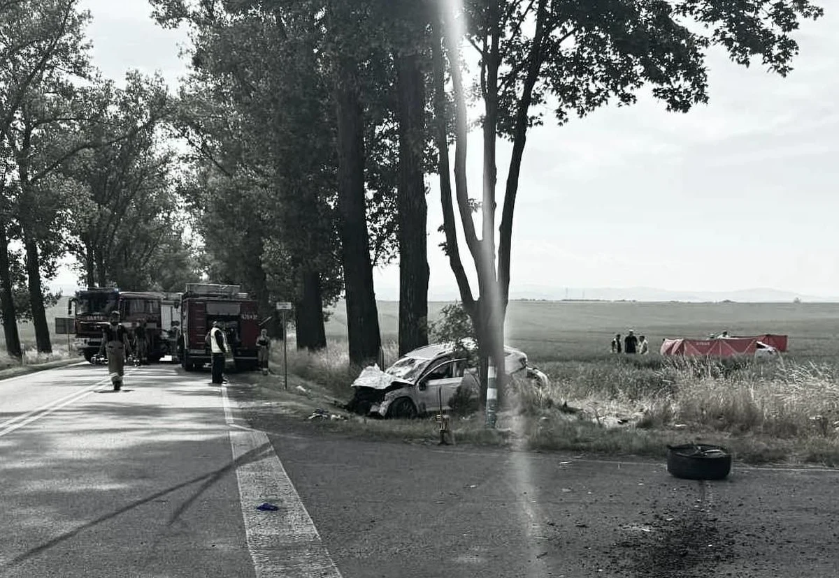 2 osoby zginęły, a 5 zostało rannych w zderzeniu dwóch samochodów na drodze krajowej nr 38 na skrzyżowaniu w Krasowej na Opolszczyźnie. W miejscu wypadku - między Głubczycami a Kędzierzynem-Koźle - droga była zablokowana.