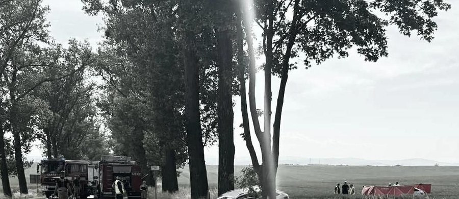 2 osoby zginęły, a 5 zostało rannych w zderzeniu dwóch samochodów na drodze krajowej nr 38 na skrzyżowaniu w Krasowej na Opolszczyźnie. W miejscu wypadku - między Głubczycami a Kędzierzynem-Koźle - droga była zablokowana.