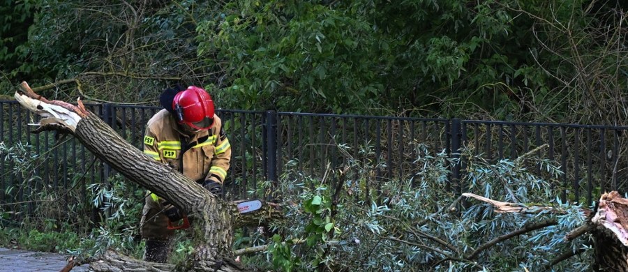 To był wyjątkowo niespokojny wieczór i noc w Polsce. Nad naszym krajem szalały nawałnice. Straż pożarna odnotowała w poniedziałek 5098 zgłoszeń związanych z usuwaniem skutków burz. Od północy do godziny 6:00 we wtorek strażacy mieli kolejne 511 zgłoszeń.