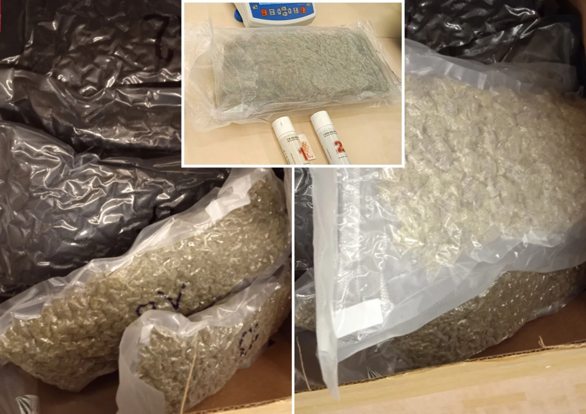 ​Krajowa Administracja Skarbowa wykryła cztery przesyłki pocztowe z USA. W środku znaleziono narkotyki - marihuanę o wartości prawie 2 mln zł - poinformowała asp. Justyna Pasieczyńska z Krajowej Administracji Skarbowej.