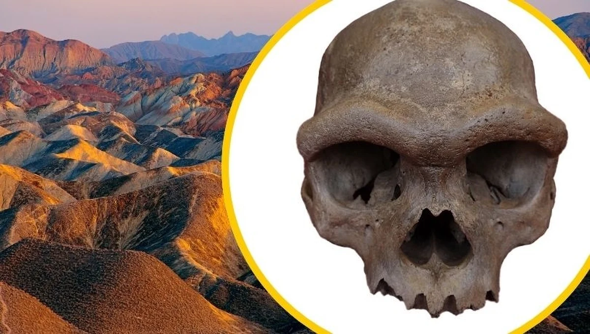 Badacze z Chin odzyskali starożytne DNA z czaszki, którą nazwali "Człowiekiem Smokiem". Ta skamieniałość, pochodząca z północno-wschodniej części Chin, zdaniem naukowców, może być najbardziej kompletnym dotąd szczątkiem denisowianina, tajemniczej grupy starożytnych ludzi, która dzieliła planetę z Homo sapiens.