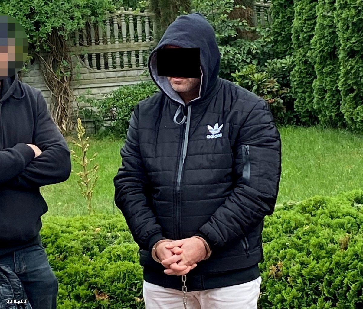 Zwierzęta miały poderżnięte gardła. Zatrzymano mężczyznę podejrzanego o śmierć alpak