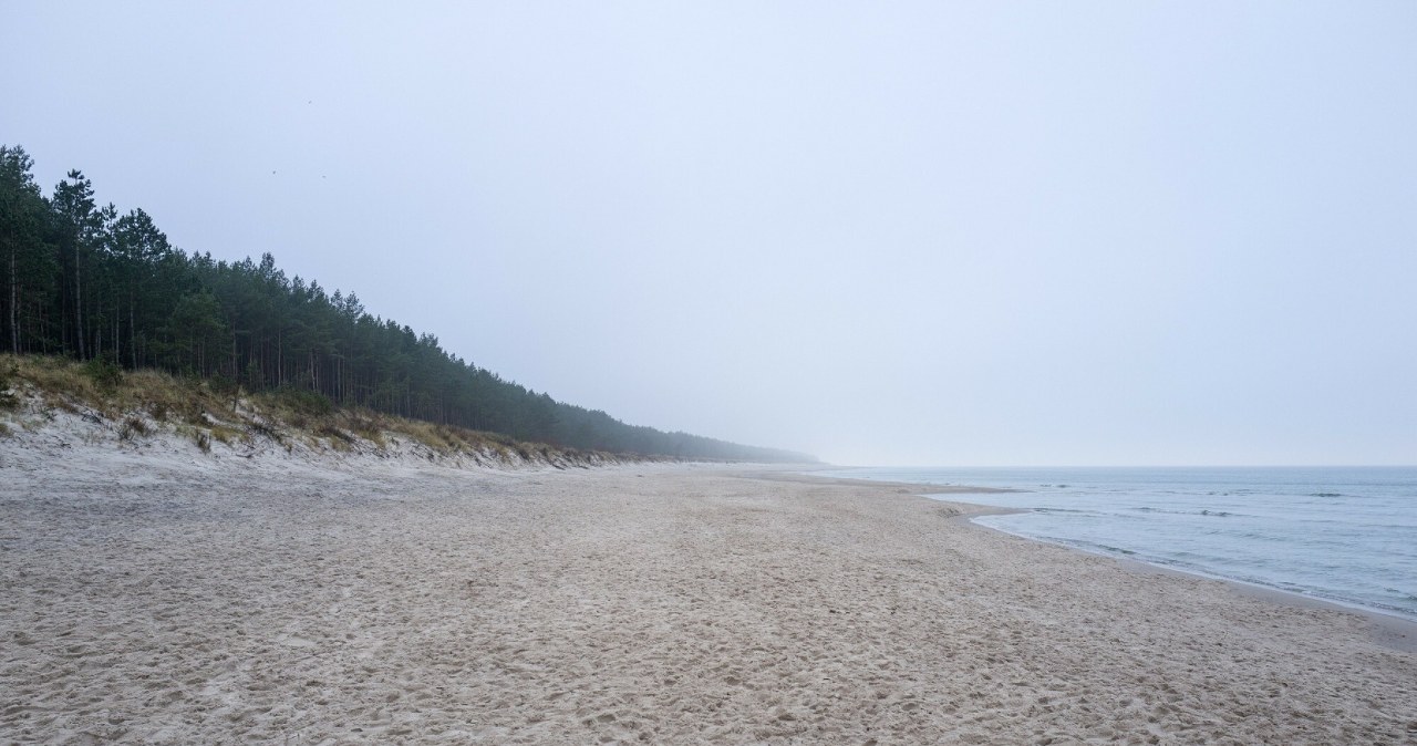 Kwadrans od Kołobrzegu, a o wiele taniej i bez tłumów. O tej pięknej plaży mało kto słyszał