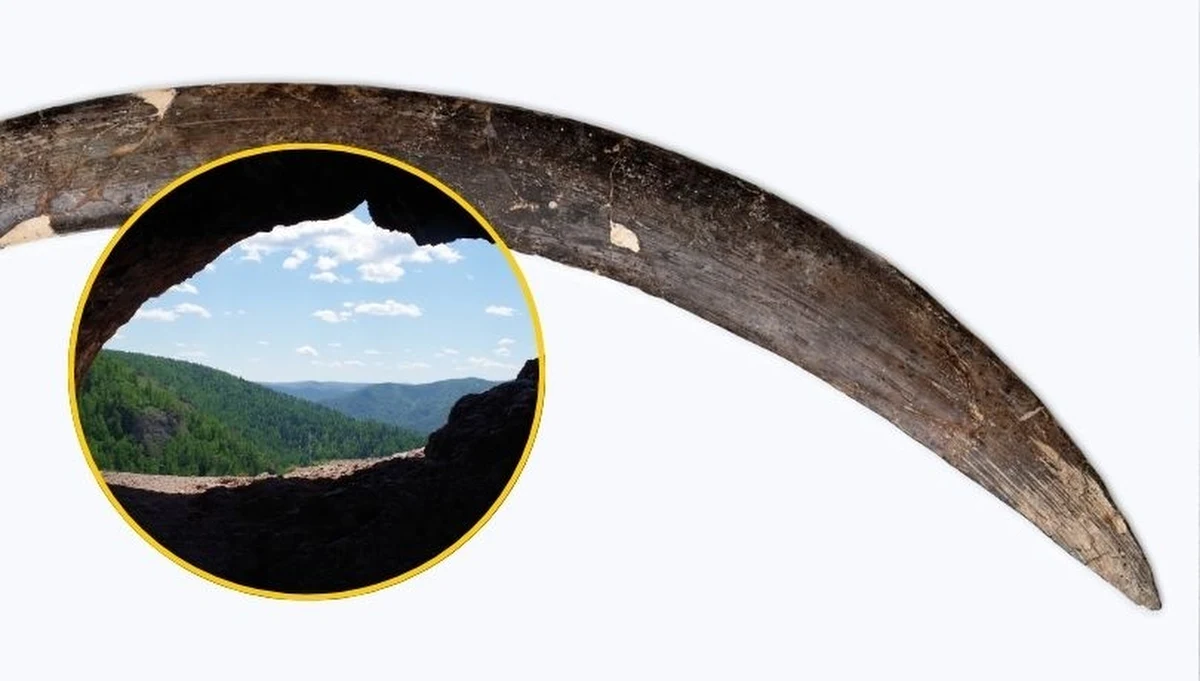 Bumerang, który w 1985 r. odnaleziono w Jaskini Obłazowej w Małopolsce, może być starszy, niż sądzono. Naukowcy mówią o nim jako o pierwszym na ziemiach polskich zapisie kultury duchowej Homo sapiens. Więcej na ten temat wie archeolog prof. Paweł Valde-Nowak.