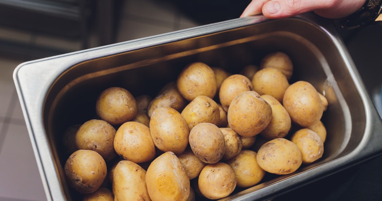 Młode ziemniaki w mundurkach. Jeść ze skórką czy bez?