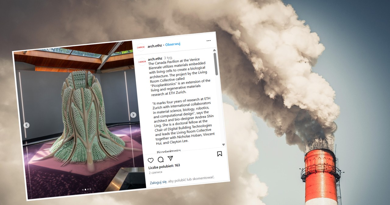 Żywy materiał z sinicami, który pochłania CO2 niczym dorosłe drzewo