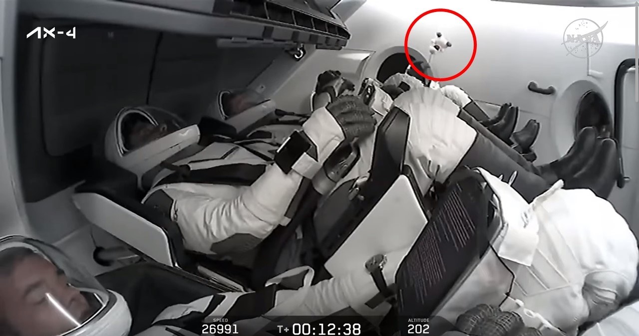 Poleciał w kosmos i bawił się pluszakiem. Joy to nie tylko zabawka