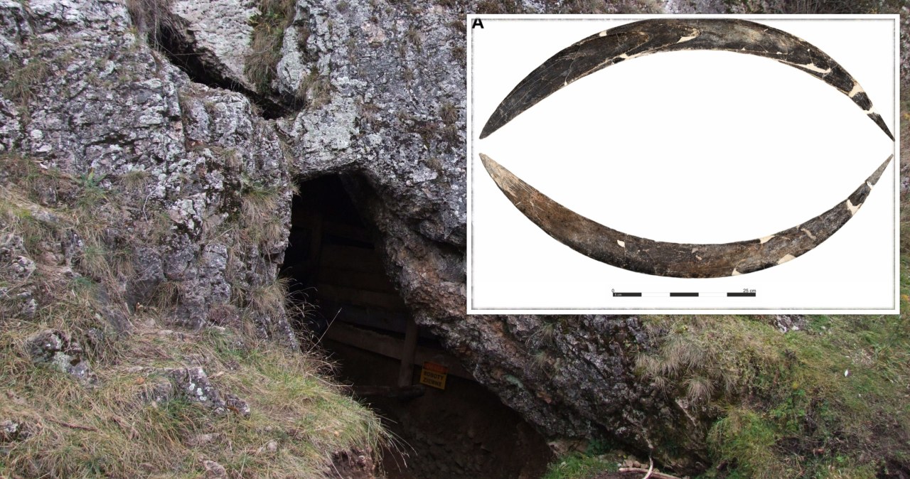 Nie Australia, ale Polska. Historia najstarszego bumerangu na świecie