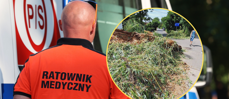 W czwartek we wczesnych godzinach popołudniowych doszło do groźnie wyglądającego zdarzenia na ulicy Gorlickiej we Wrocławiu. Około godziny 13, w pobliżu skrzyżowania z ulicą Litewską, stara wierzba przewróciła się, przygniatając dziecko jadące na rowerze. O sprawie jako pierwsza poinformowała "Gazeta Wrocławska".