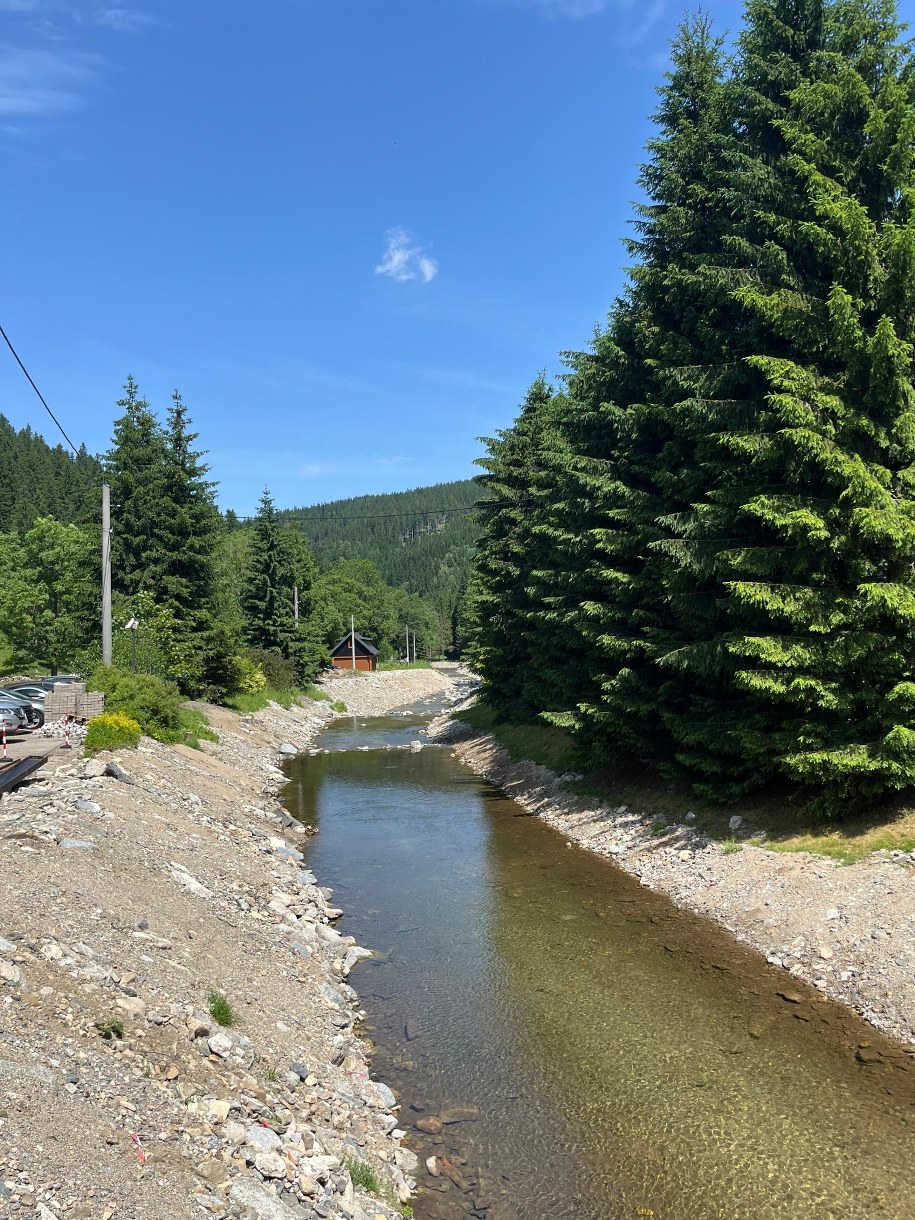 /Martyna Czerwińska /RMF FM