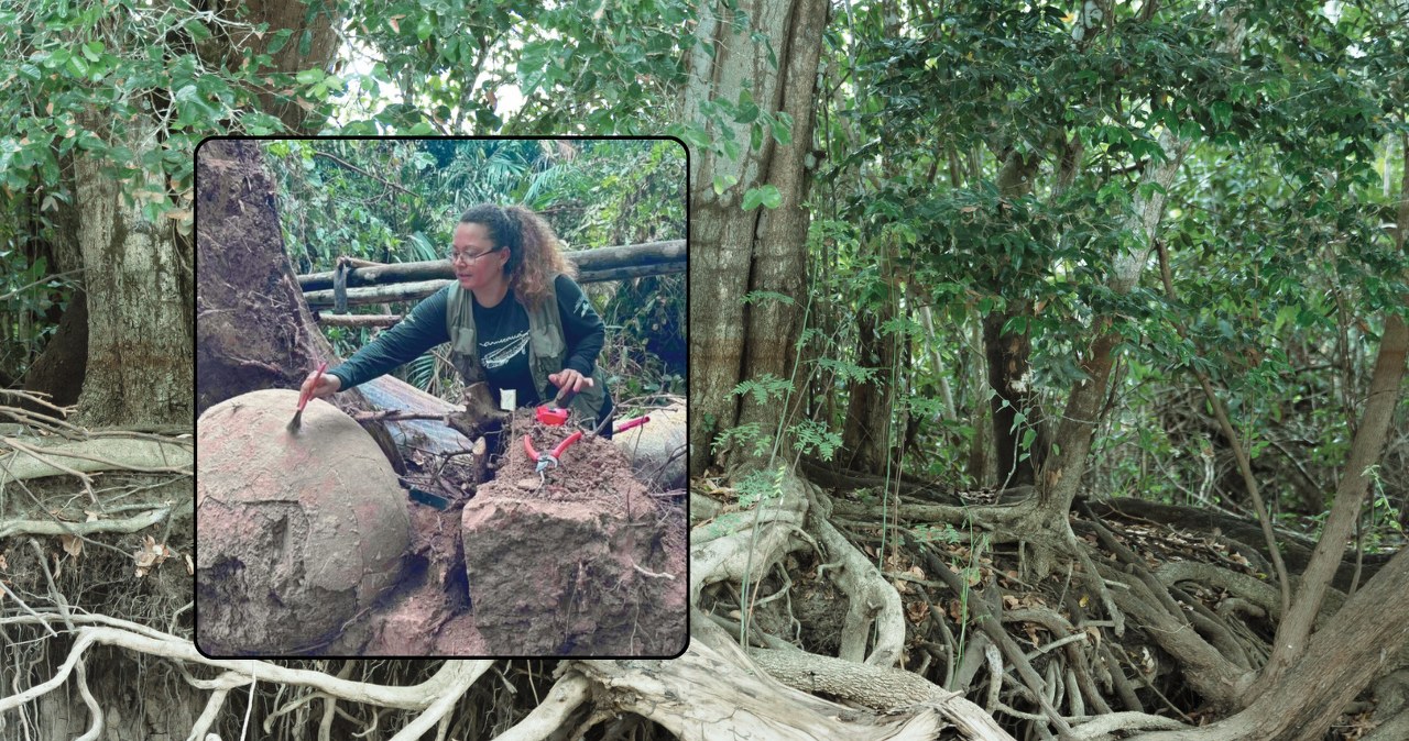 Głęboko w Amazonii znaleziono coś dziwnego. Archeolodzy zdumieni