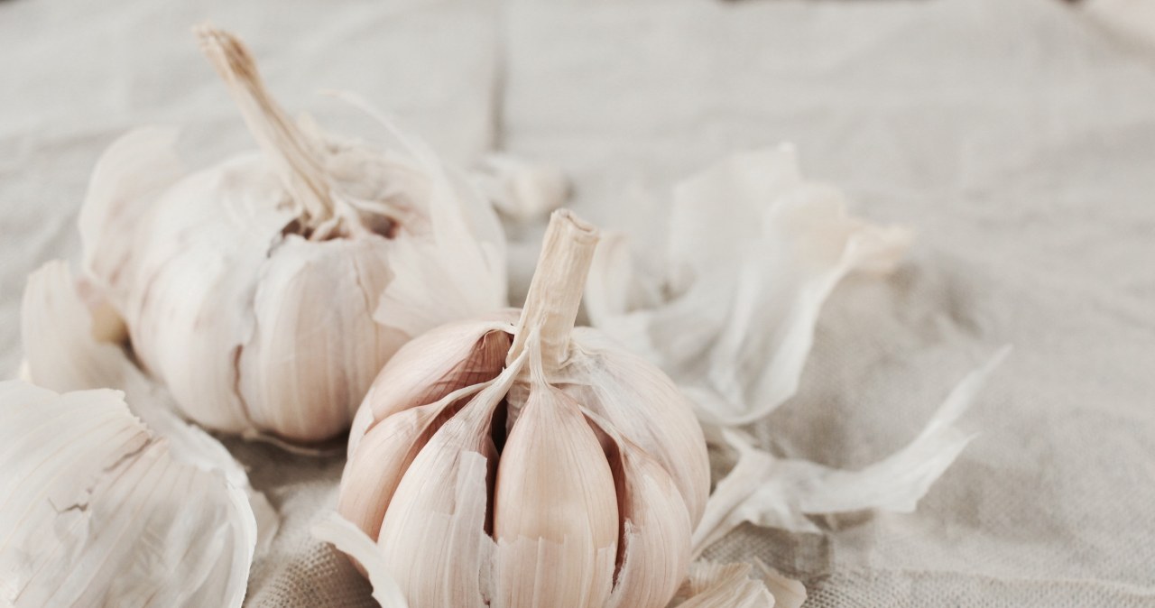 Prosty patent na szkodniki. W roli głównej czosnek i goździki