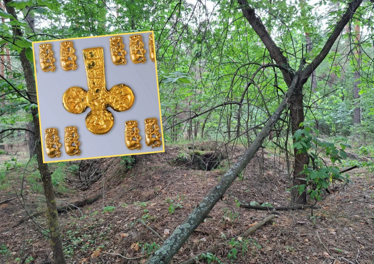 Naukowcy natrafili na bogato zdobione artefakty w kurhanie Opishlyanka na Ukrainie - wśród nich wykonane z czystego złota figurki, tzw. "złote pantery", które znajdowały się obok spopielonych ludzkich kości. Odkrycie rzuca nowe światło na starożytne kultury zamieszkujące region Europy Wschodniej ponad 2600 lat temu.