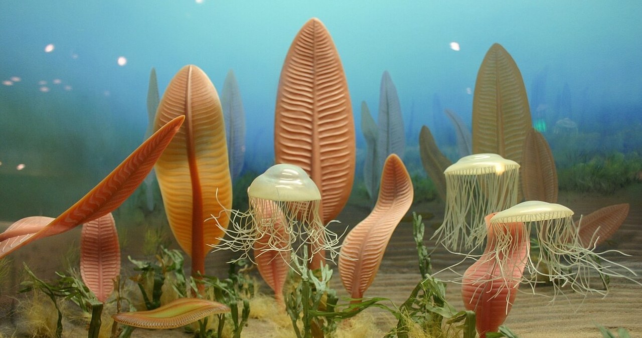 Zapomniana apokalipsa. Czy przeoczyliśmy globalną zagładę sprzed wieków?