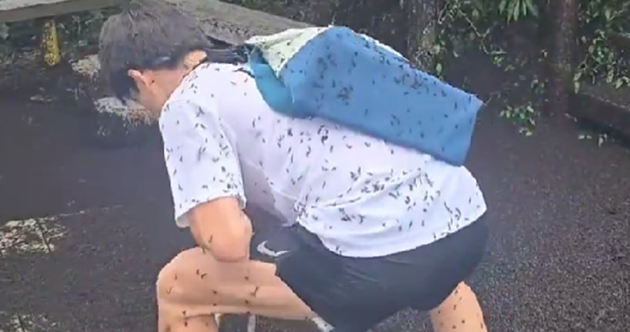 Inwazja w Korei Południowej. Mucha "miesiąc miodowy" zmorą turystów