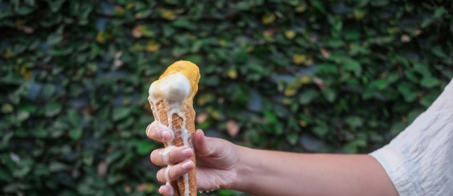 W upalne dni chętnie sięgamy po lody i nawet nie zdajemy sobie sprawy z tego, że jedząc je, możemy popełnić błędy. Czasami podjemy trochę z dużego pudełka, a nadtopioną zawartość wkładamy z powrotem do zamrażalnika. Bywa i tak, że nawet niewielką porcję odkładamy na później, bo z jakiegoś powodu musieliśmy przerwać konsumpcję i za chwilę do niej wrócimy, a na zewnątrz przecież całkiem się rozpłyną. Tak nie należy robić.