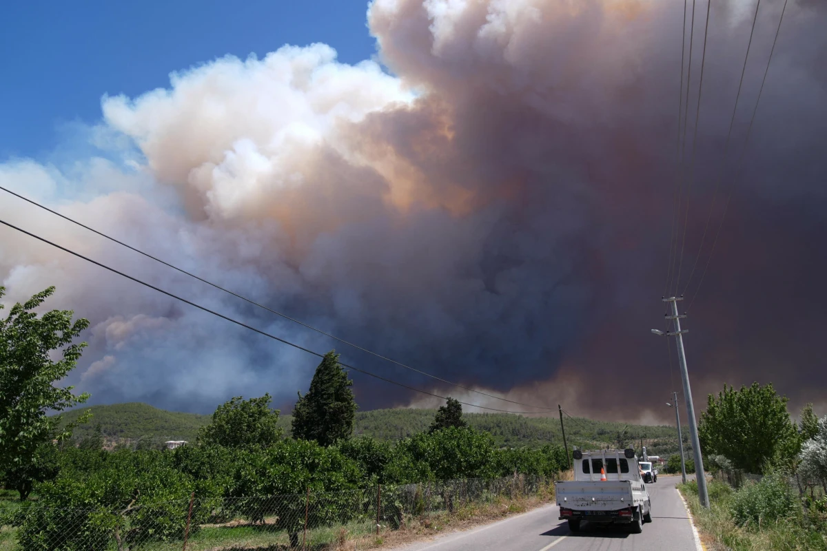 Z powodu intensywnych pożarów, jakie nawiedziły tureckie prowincje Izmir, Manisa i Hatay, ewakuowano już ponad 50 tysięcy mieszkańców - poinformowała w poniedziałek turecka Agencja ds. Zarządzania Kryzysowego (AFAD). Łącznie ewakuowano 41 miejscowości.