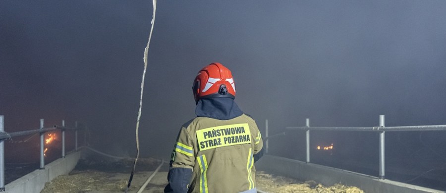 Akcja gaśnicza na terenie Mazowieckiego Szpitala Wojewódzkiego Drewnica w Ząbkach. Ogniem objęty jest opuszczony budynek. Ewakuacja pacjentów nie była konieczna.