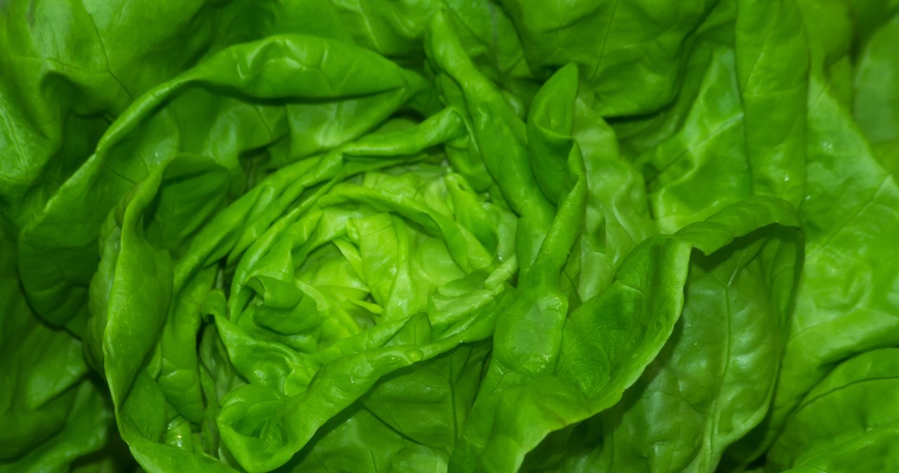 Dobra na serce, jelita i wątrobę. Na kanapce połóż od razu dwie warstwy