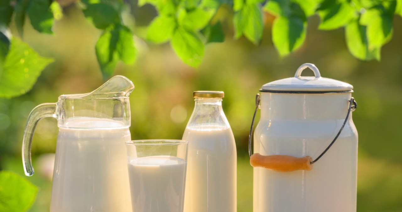 Mleko kozie czy krowie? Sprawdź, które przyniesie ci więcej korzyści