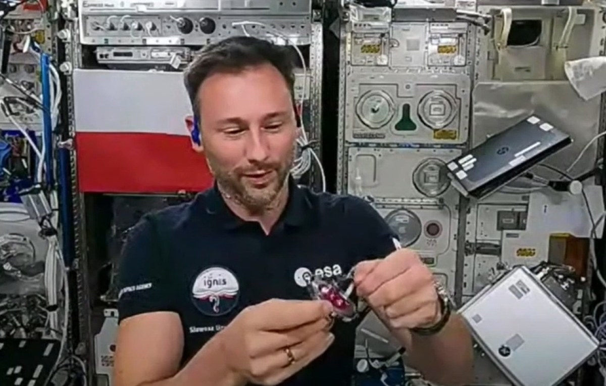 Łączenie na żywo ze Sławoszem Uznańskim-Wiśniewskim OGLĄDAJ!