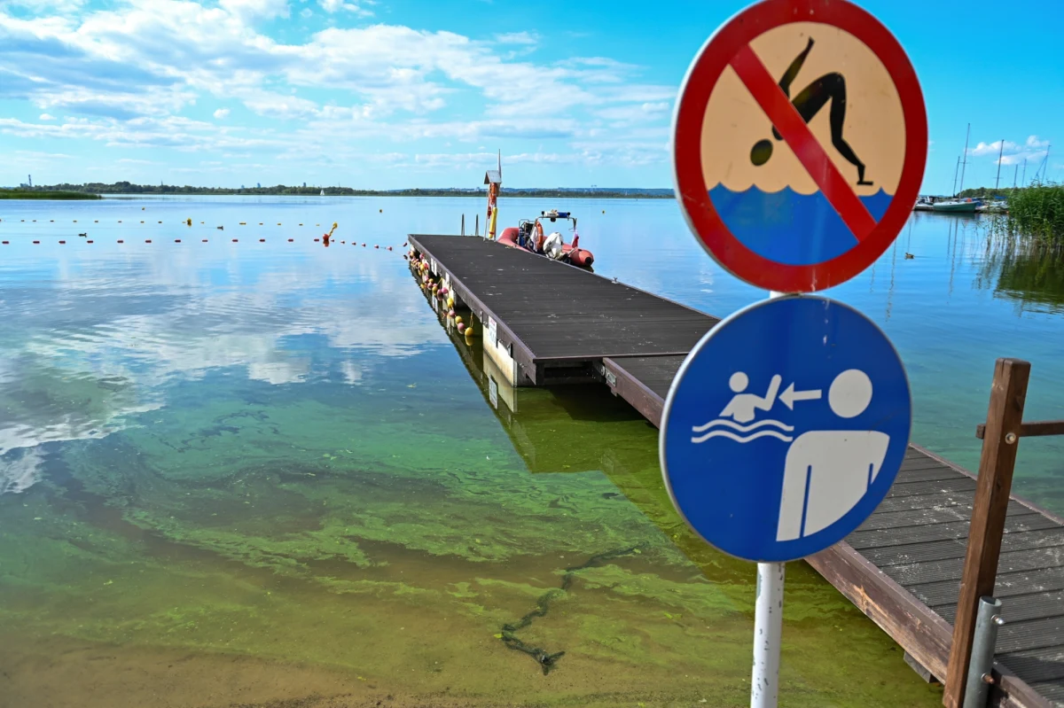 W Jeziorze Ostrzyckim na Kaszubach wykryto sinice. W środę poinformował o tym sanepid. Nadmorskie akweny w woj. pomorskim i zachodniopomorskim na razie nadają się do kąpieli. Temperatura wody w Bałtyku wynosi średnio ok. 17 st. C.