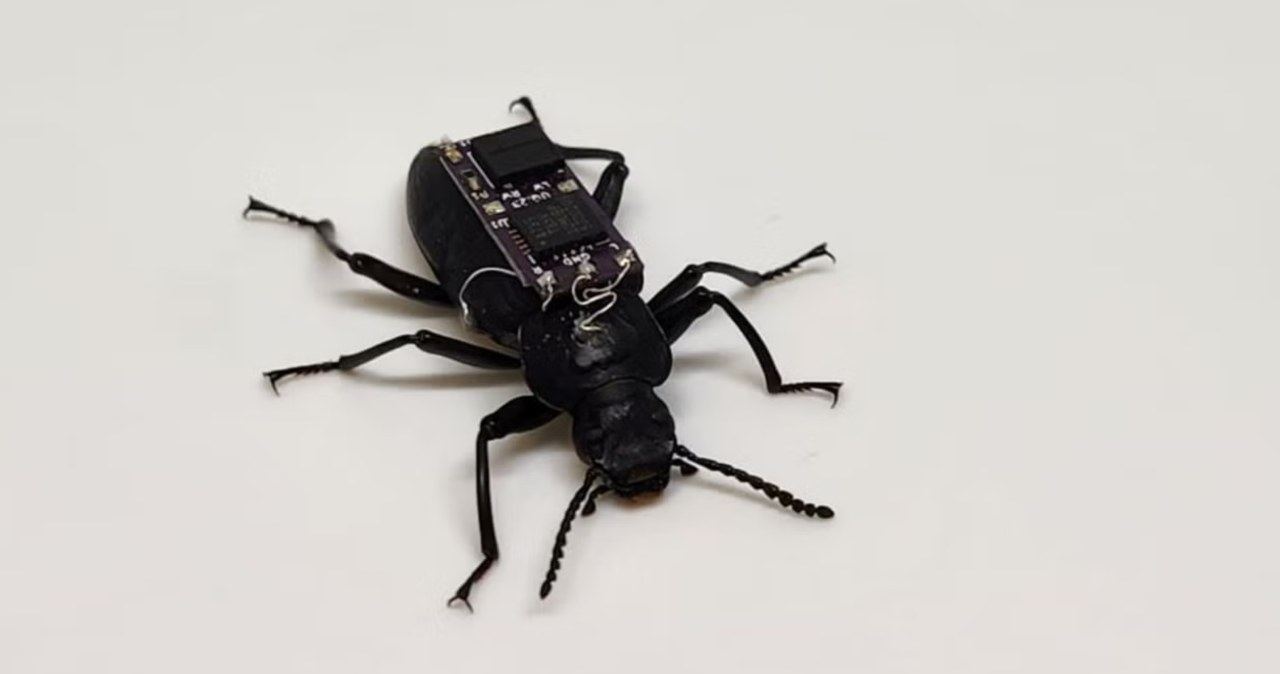 Czarnuchowate cyborgi z plecakiem. Pomogą ratować ludzi spod gruzów