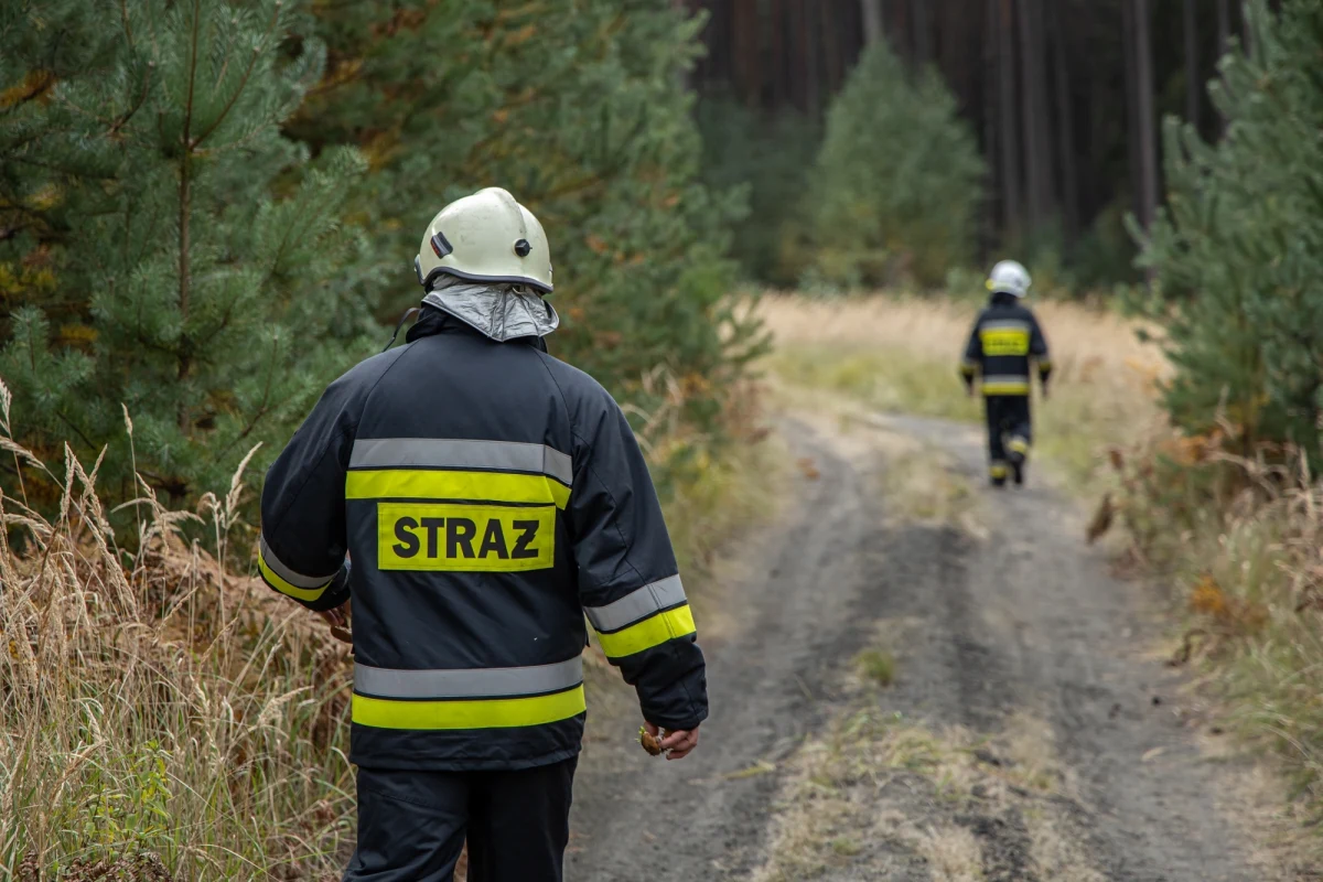 Do pożaru lasu doszło w środę miejscowości Gołaczewy w powiecie olkuskim w Małopolsce. Ogień objął obszar ok. 20 arów. Po opanowaniu sytuacji, służby ujawniły zwęglone zwłoki - poinformował RMF FM mł. kpt. Hubert Ciepły, rzecznik Małopolskiego Komendanta Wojewódzkiego PSP.