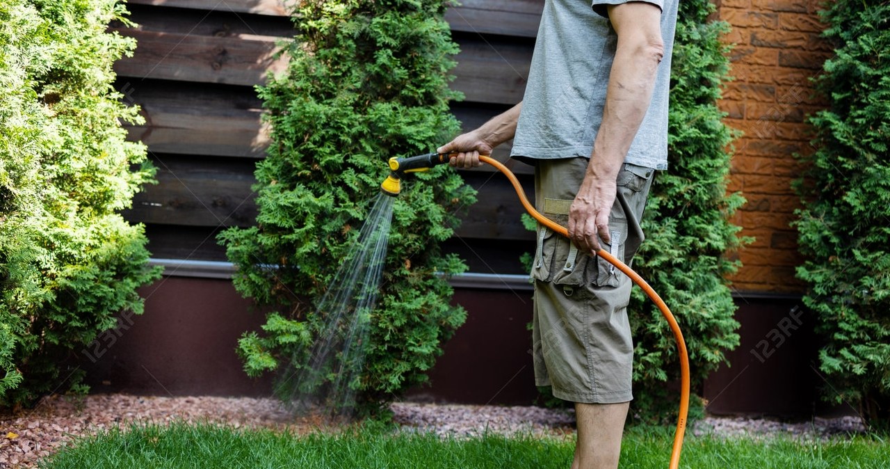 Nigdy nie podlewaj trawnika w ten sposób. Żółte placki gwarantowane