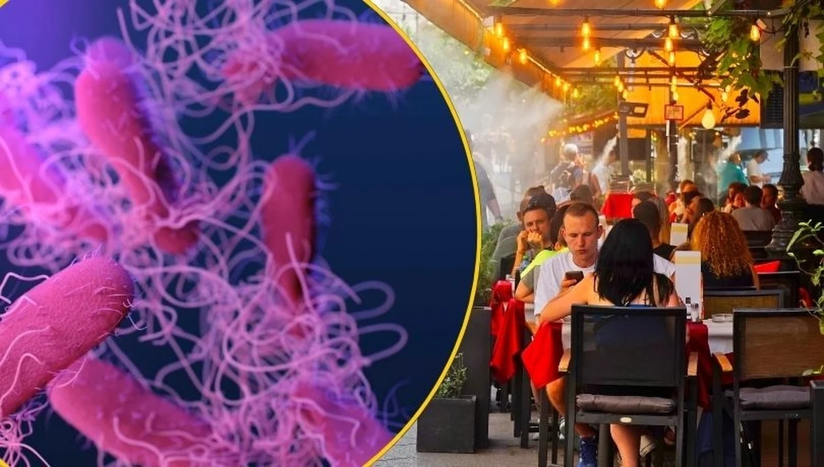 Gdy żar leje się z nieba, rośnie nie tylko temperatura – gwałtownie rośnie także ryzyko groźnych zatruć pokarmowych i zakażeń bakteryjnych. Jakie bakterie zagrażają nam najbardziej podczas upałów, czego nie jeść i czego nie pić, by cieszyć się latem bez przykrych niespodzianek? 