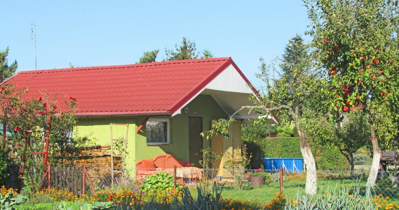 Przepis biczem na działkowców. W ten sposób można stracić ROD