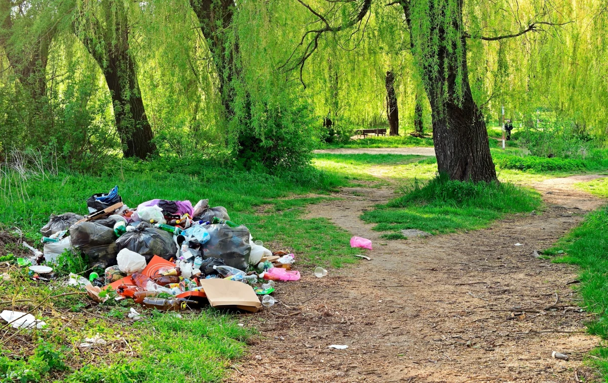 Każdy Polak zużywa średnio 23 torby foliowe rocznie - poinformowało Ministerstwo Klimatu i Środowiska. Z kolei Lasy Państwowe zwróciły uwagę, że jedna torba rozkłada się przeciętnie od 100 do 400 lat i stanowi również zagrożenie dla zwierząt żyjących w lasach. 3 lipca obchodzony jest Międzynarodowy Dzień bez Toreb Foliowych.