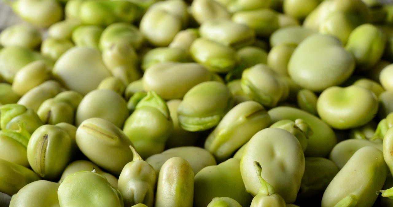 "Król strączków" - ludzki mózg go uwielbia. Jak wpływa na trzustkę?