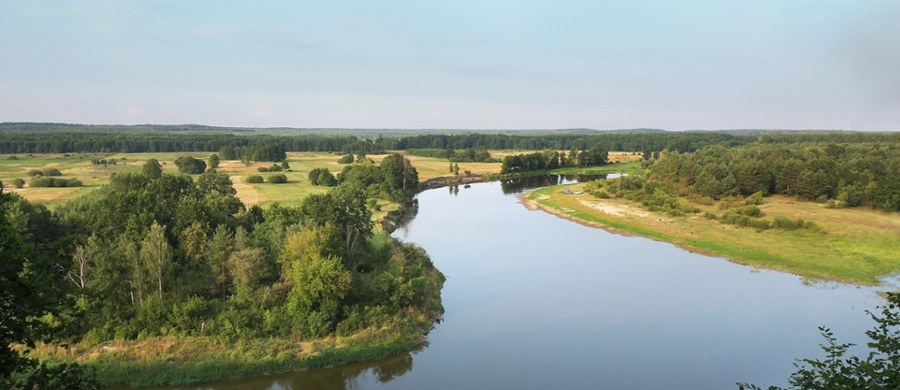 Regionalny Zarząd Gospodarki Wodnej w Lublinie ostrzega przed żeglugą po Bugu w związku z ekstremalnie niskimi stanami wody w tej rzece. Chodzi m.in. o łodzie motorowe, kajaki, łódki. Poziom wody na Bugu we Włodawie wynosi w czwartek 69 cm, a w Dorohusku – 43 cm.