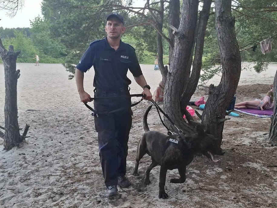 /KMP w Piotrkowie Trybunalskim /Policja
