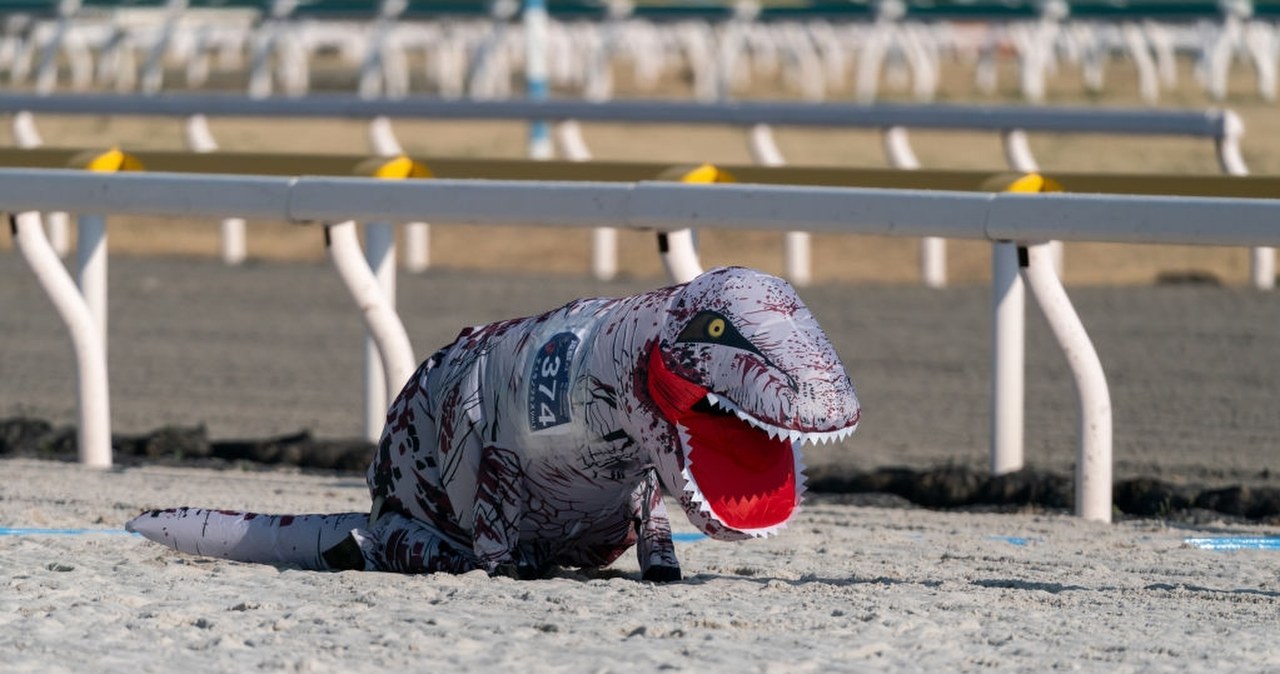 wiadomości,aktualności,Interia Kostiumowy bieg dinozaurów. 300 osób rywalizowało w Waszyngtonie