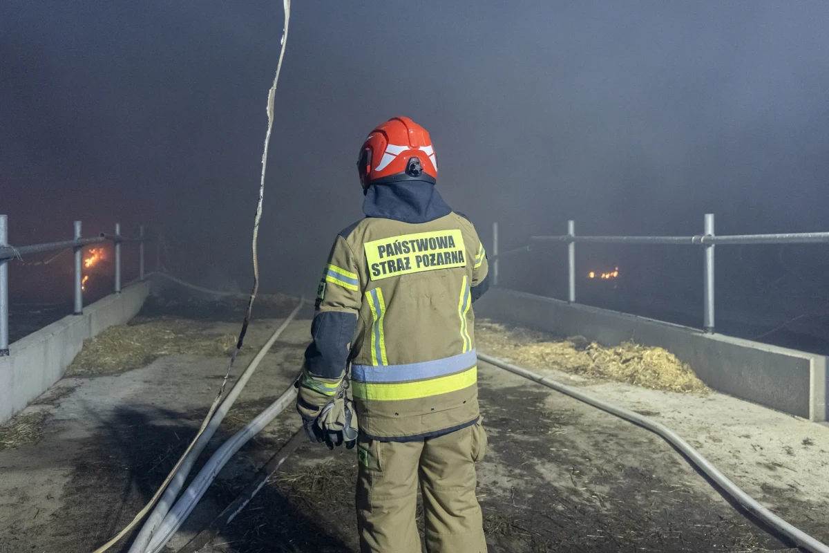 "Pożar w sklepie popularnej sieci handlowej w Buku (woj. wielkopolskie) jest już opanowany" – powiedział  w piątek po południu oficer prasowy KM PSP w Poznaniu ogn. Marcin Tecław. W kulminacyjnym momencie z ogniem walczyło 40 zastępów straży.