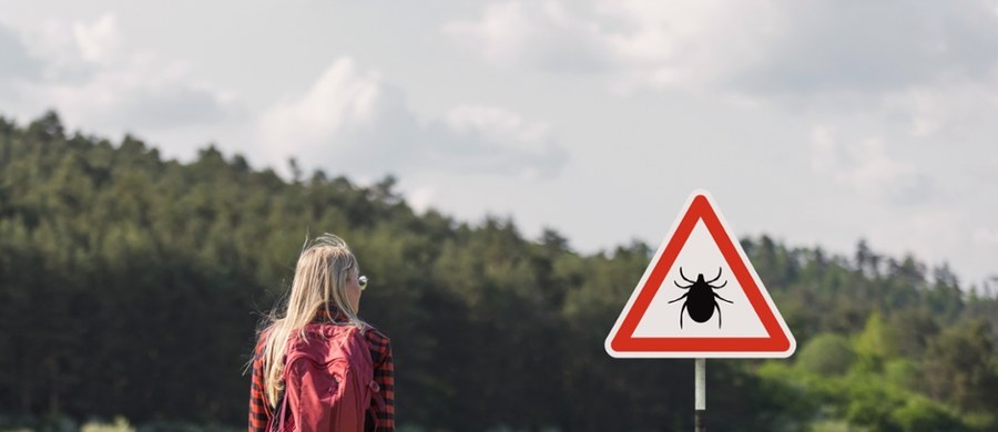 Na Dolnym Śląsku rośnie liczba zakażonych boreliozą. Z danych Wojewódzkiej Sanitarnej Stacji Epidemiologicznej wynika, że rok do roku pacjentów z tą chorobą jest coraz więcej. W ubiegłym było to 1569 przypadków. W tym eksperci spodziewają się kolejnego wzrostu zakażeń.