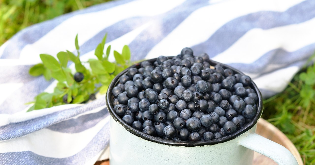 Robisz to z jagodami po przyniesieniu do domu? Nie dziw się, iż tak gwałtownie się psują