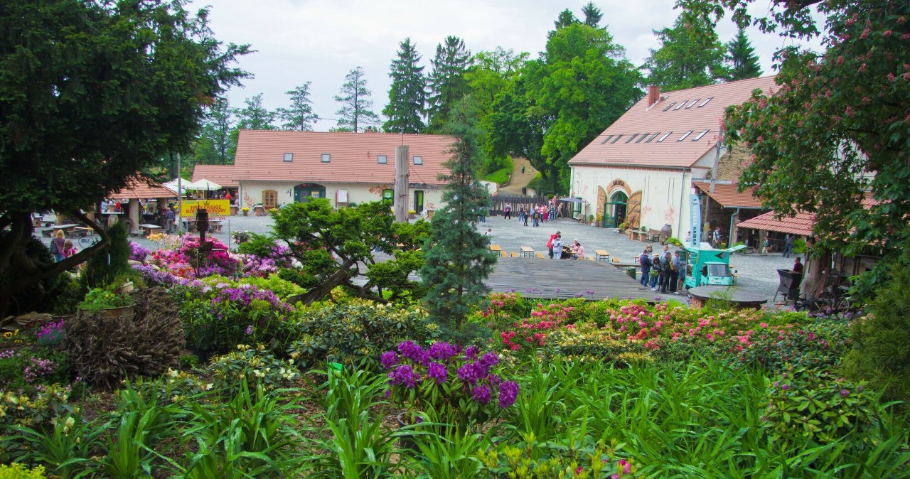 Niezwykły zakątek Dolnego Śląska. Zapomnisz o hałasie i tłoku
