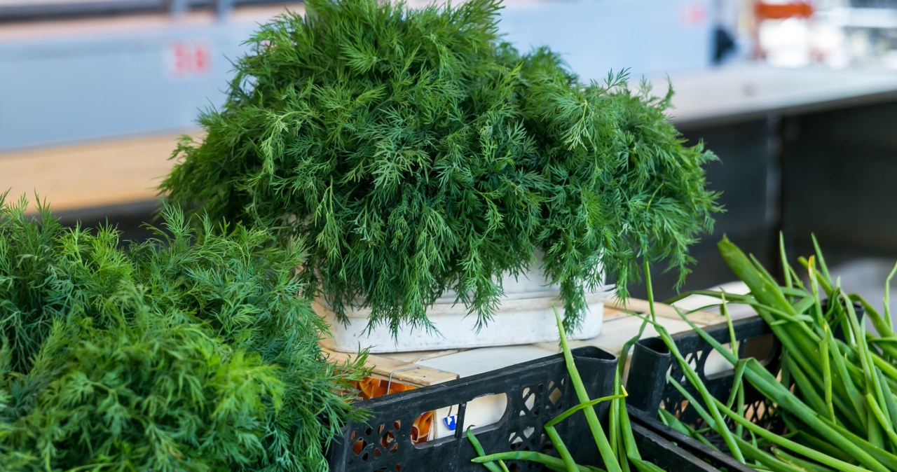 Koperek błyskawicznie traci świeżość? Popełniasz popularny błąd