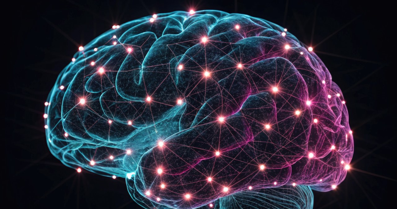 Grupa krwi a udar mózgu. Naukowcy znaleźli związek