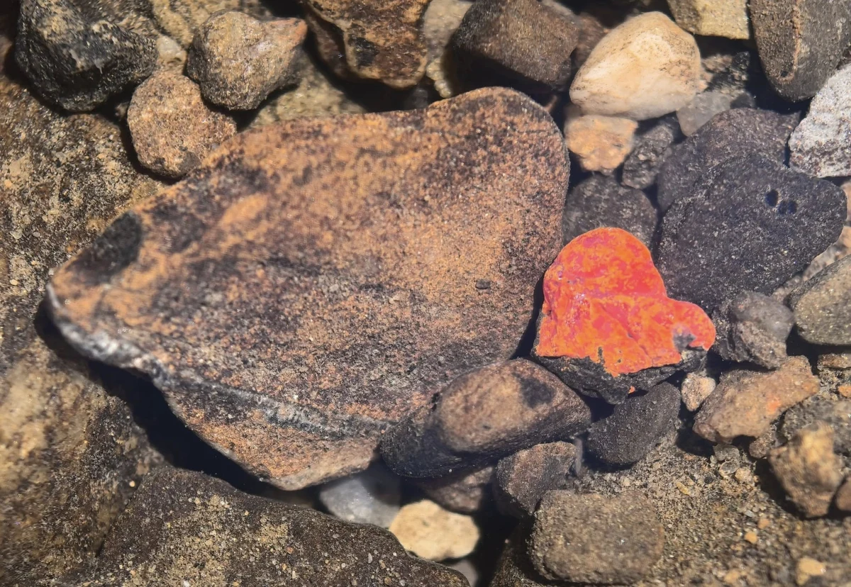 Wyjątkowe znalezisko w bieszczadzkich potokach poruszyło internautów. Leśnicy z Baligrodu pokazali zdjęcia realgaru - rzadkiego, krwistoczerwonego minerału, którego kryształ przypomina serce.