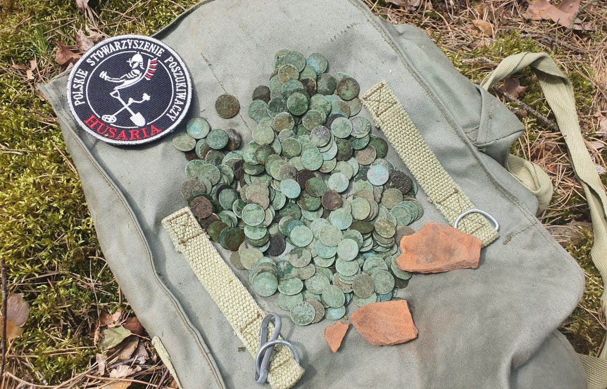 Las koło Jadowa skrywał wyjątkowy skarb. Znaleziono setki monet