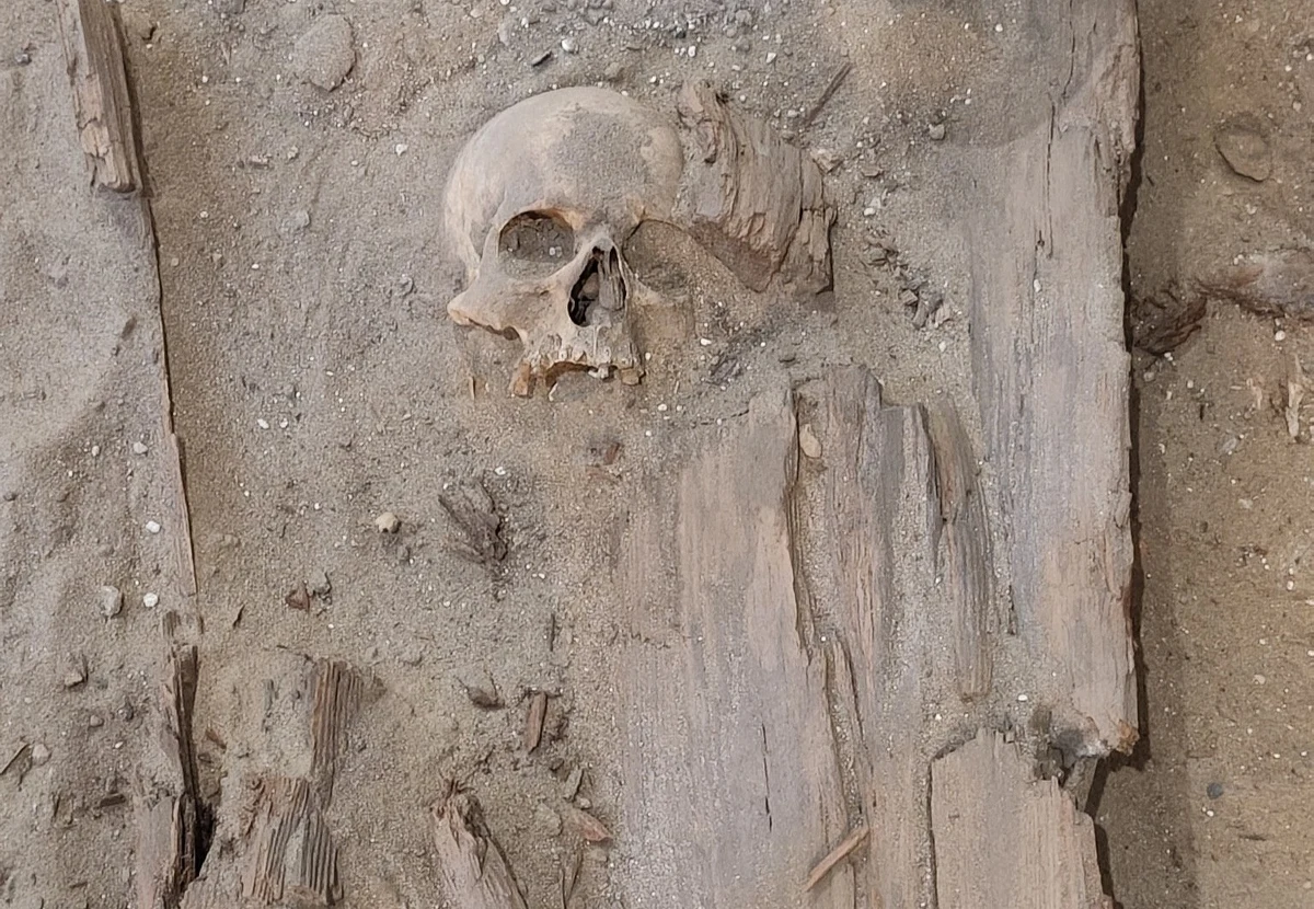 Badania archeologiczne prowadzone w kościele parafialnym w Cegłowie przyniosły kolejne odkrycia. Oprócz krypty pod posadzką świątyni znaleziono zniszczone trumny oraz czaszki i kości.